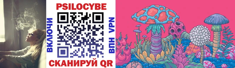 Псилоцибиновые грибы Cubensis  Павловская 