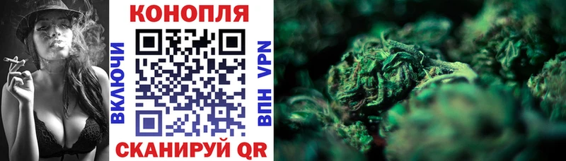 Бошки Шишки конопля  Павловская 